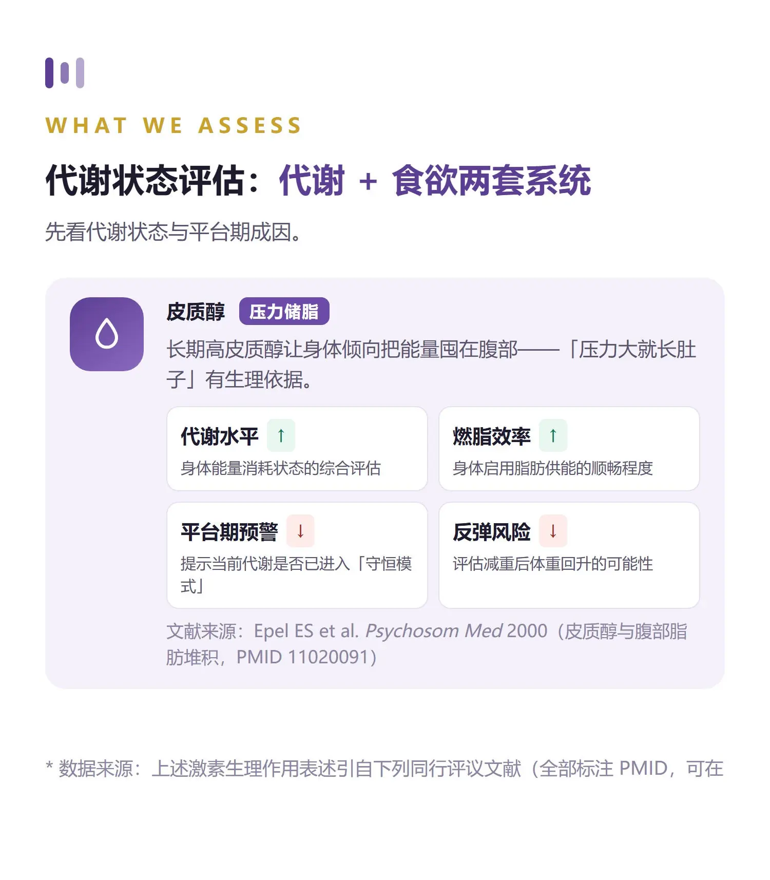 减脂·基础 详情 4